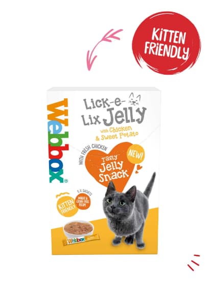 Webbox Lick-e-Lix Chicken 50g (5/pack)