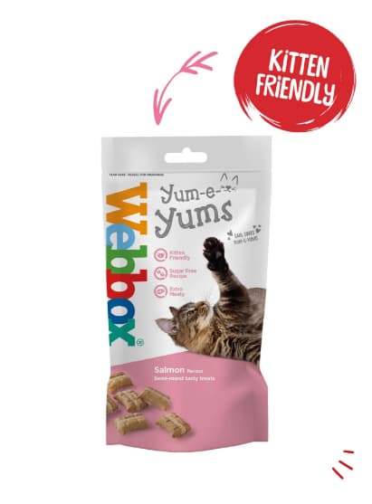Webbox Yum-e-Yums Salmon 40g