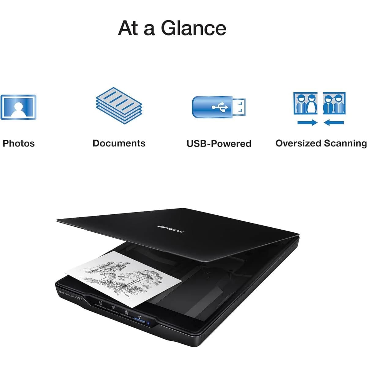 Epson V39 II Photo & Document Flatbed Scanner