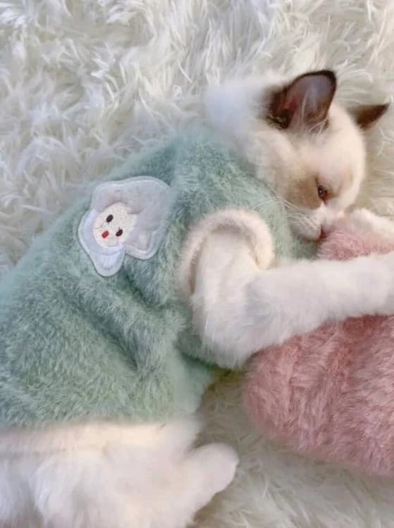 Warm and Comfortable Clothing for Dogs and Cats (S/M)