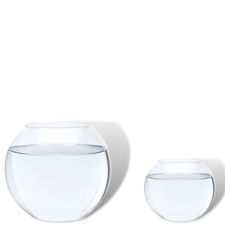 Glass Fish Tank