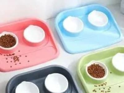Double Pet Food Bowl for Cats and Dogs
