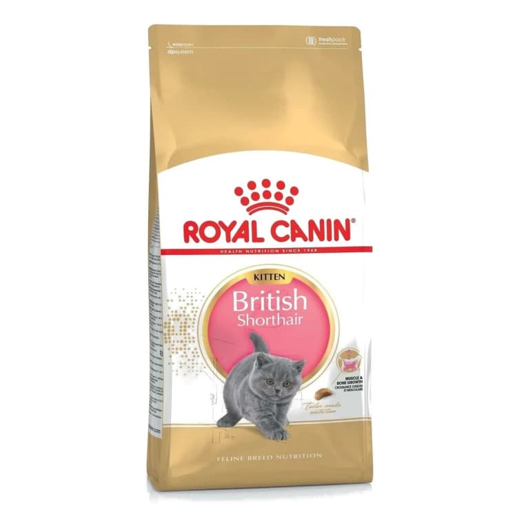 Royal Canin British Shorthair Kitten Food