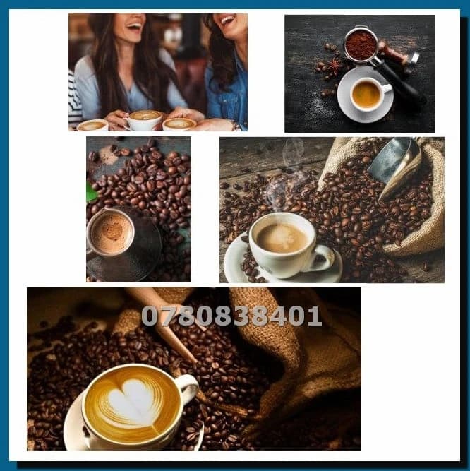 Sonifer Coffee and Nut Roaster