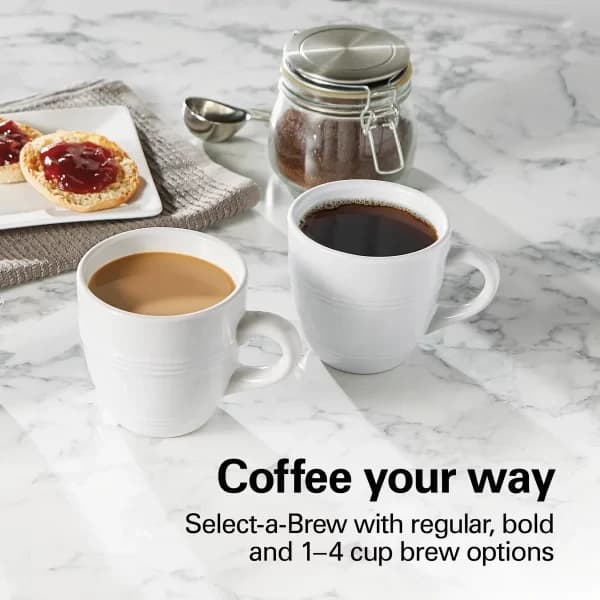 Hamilton Beach 12 Cup Programmable Coffee Maker