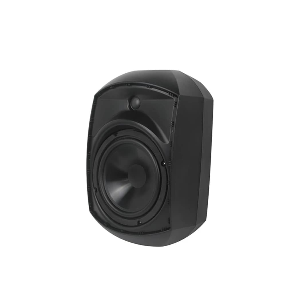 AISP WS-3060 مكبر صوت جداري 6.5 بوصة مع قدرة 40 واط - أسود