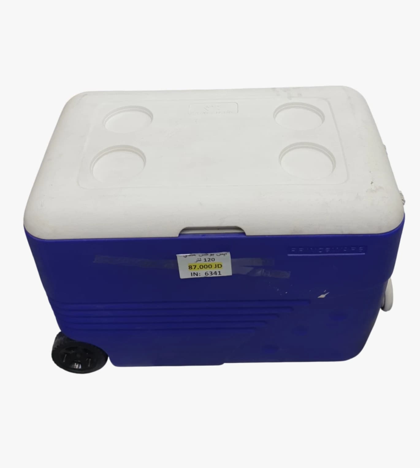 Igloo Brand Modern Cooler with Large Storage Capacity for Camping and Picnic Enthusiasts