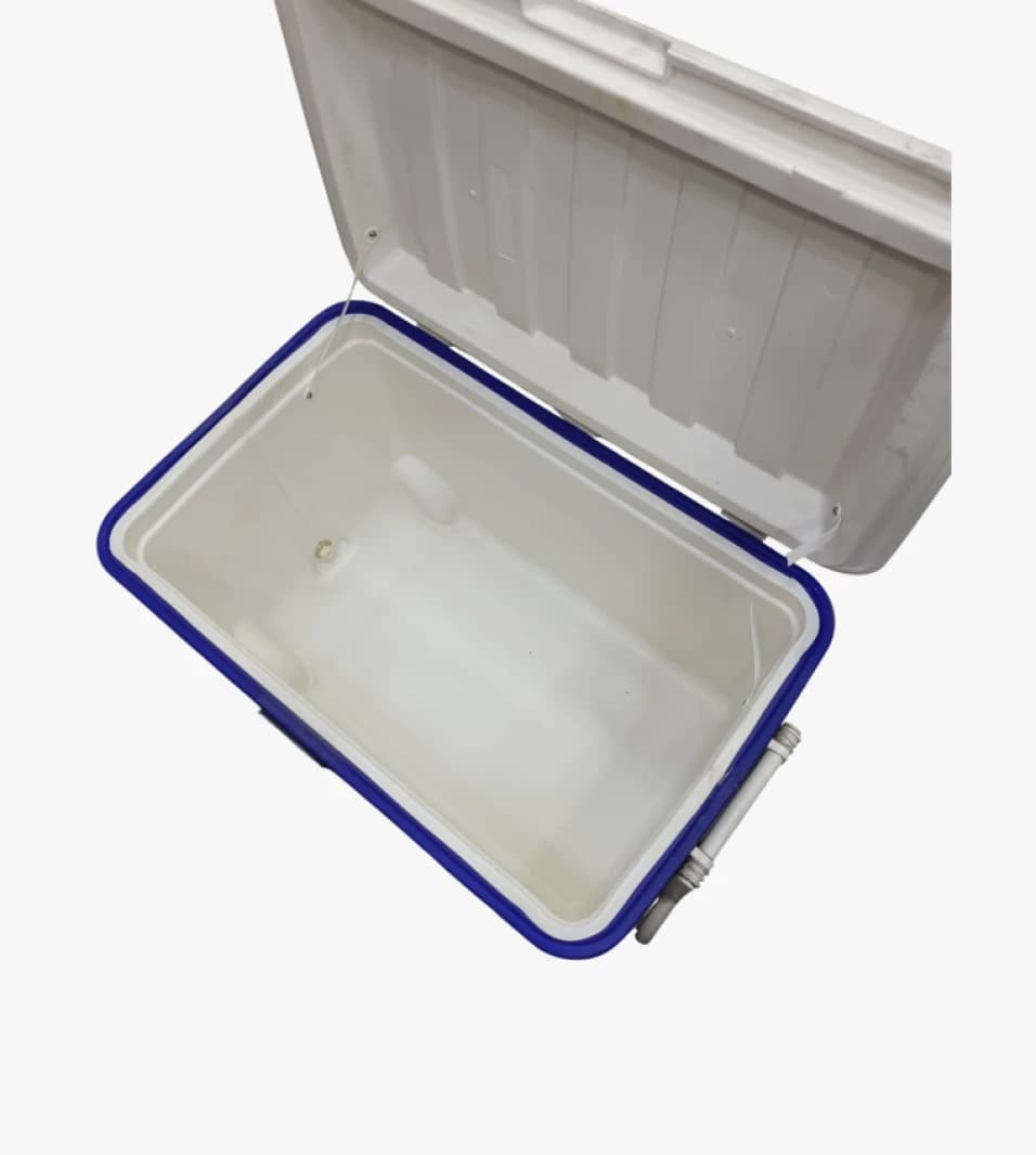Igloo Brand Modern Cooler with Large Storage Capacity for Camping and Picnic Enthusiasts