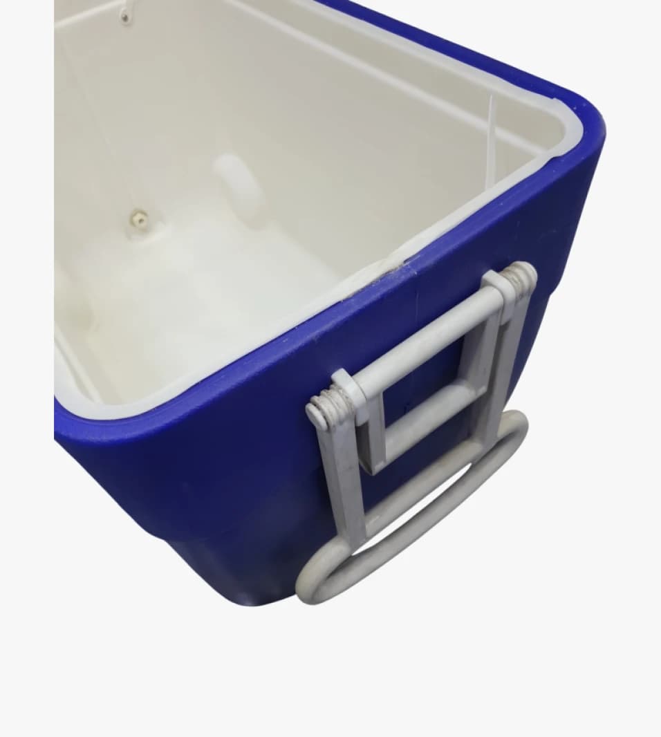 Igloo Brand Modern Cooler with Large Storage Capacity for Camping and Picnic Enthusiasts