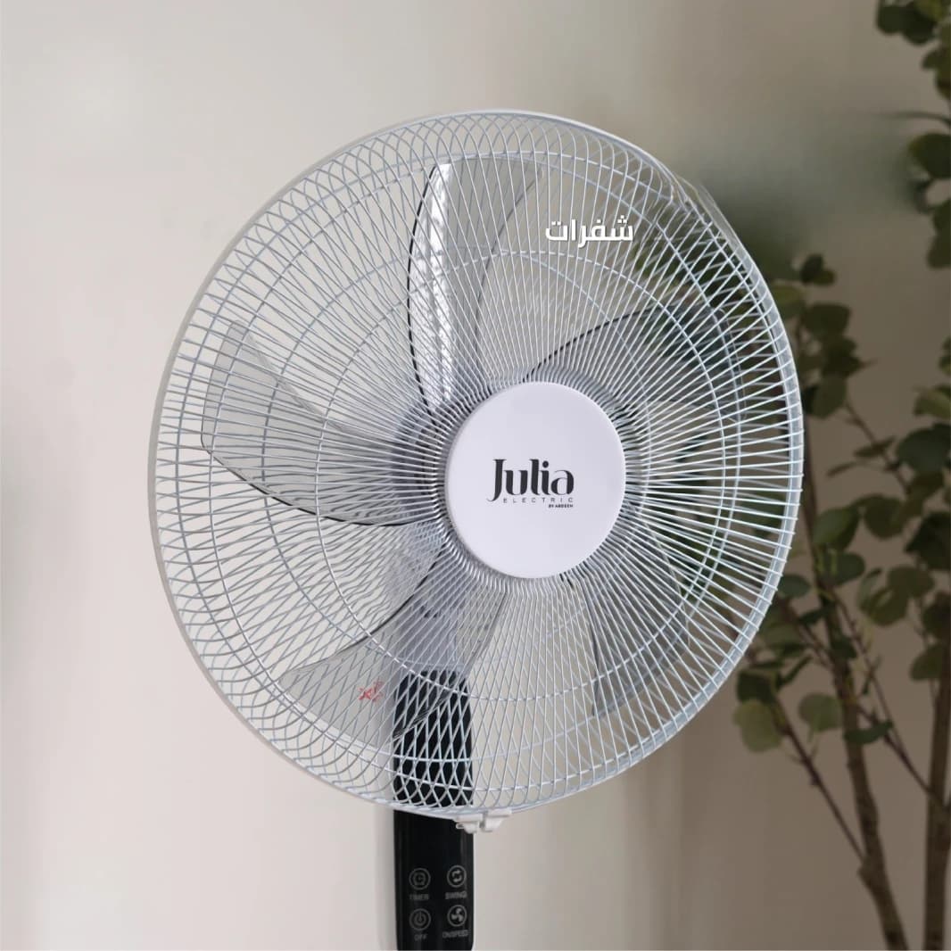 Julia Fan