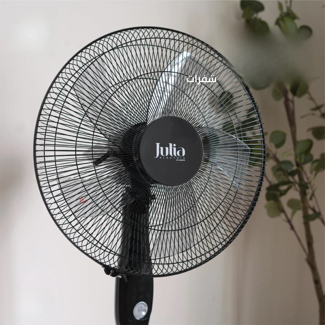 Julia Fan
