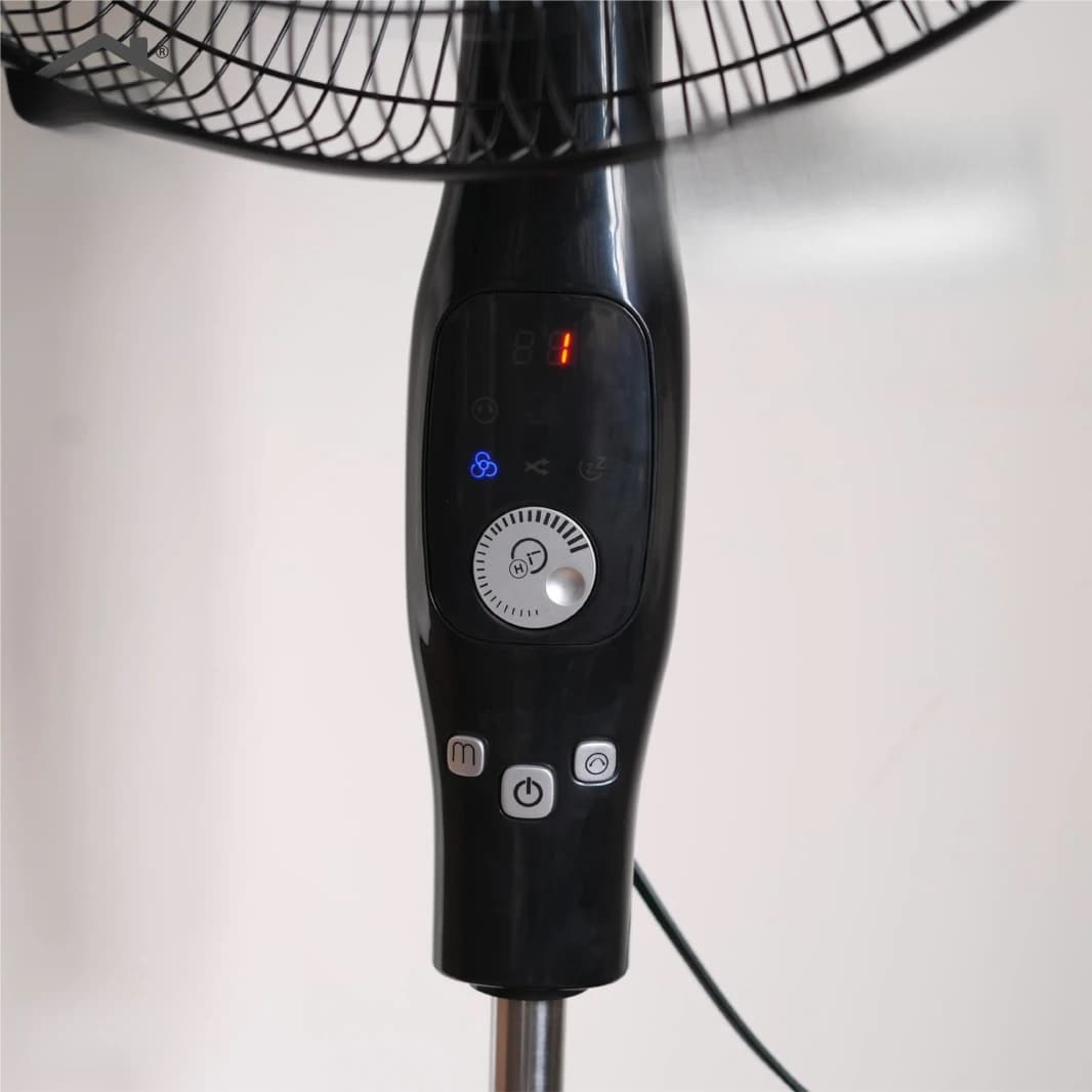 Julia Fan