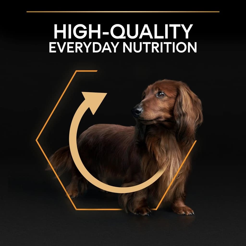 Pro Plan Small Mini Adult Dry Dog Food with Chicken 3 Kg
