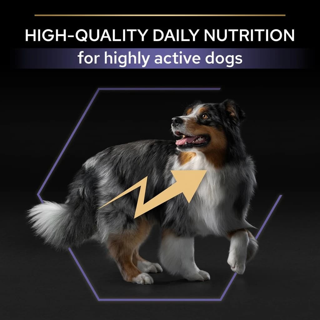 Pro Plan Performance Dry Dog Food with Chicken 18Kg