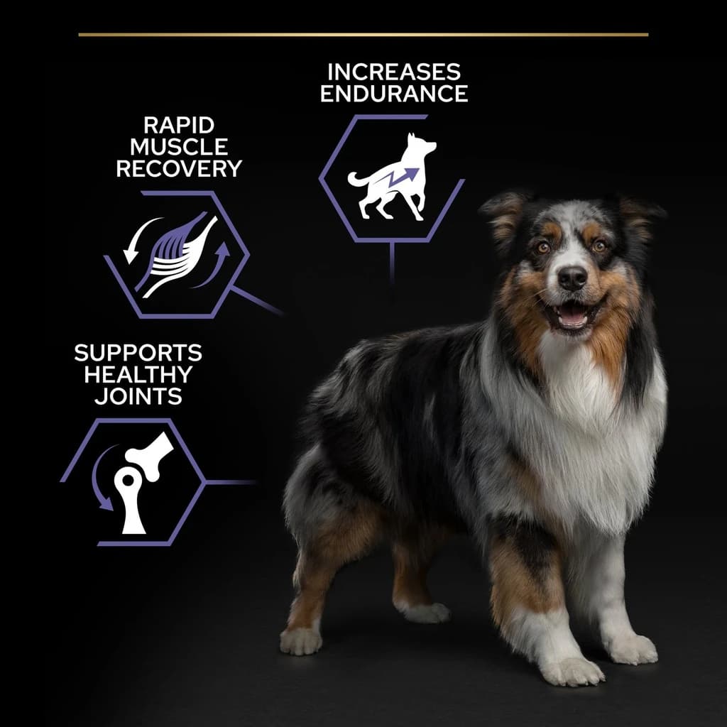 Pro Plan Performance Dry Dog Food with Chicken 18Kg