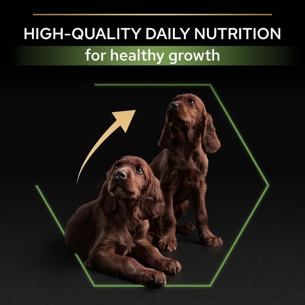 Pro Plan Large Athletic Puppy Dry Dog Food with Chicken 3Kg