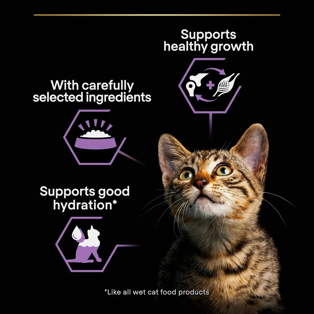Pro Plan Baby Kitten Mousse Chicken Wet Cat Food 85g