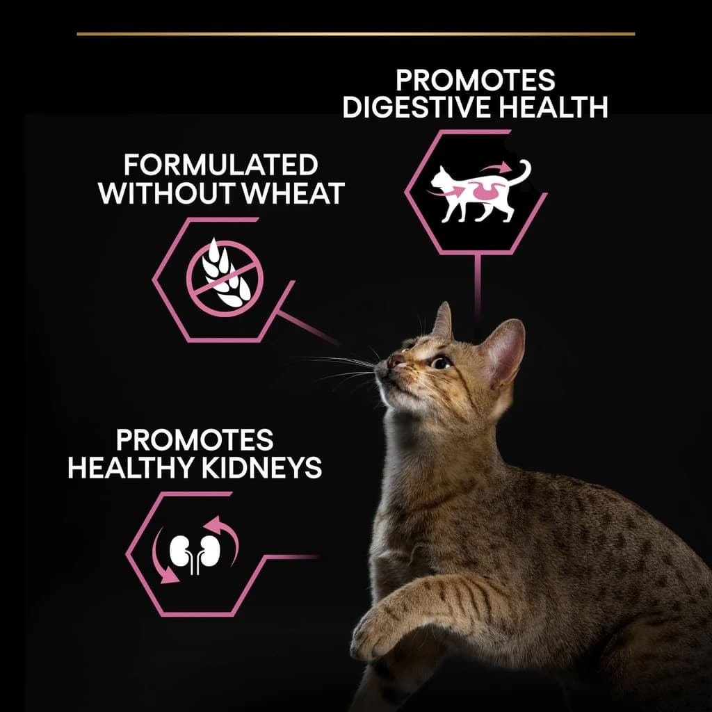 Pro Plan Adult Delicate Digestion Dry Cat Food with Turkey 1.5Kg