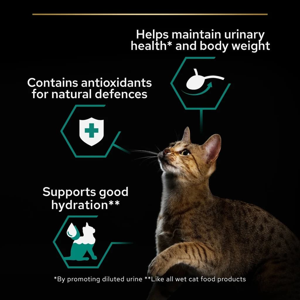 Pro Plan Sterilized Adult Renal Plus Wet Cat Food - Chicken in Gravy 85g