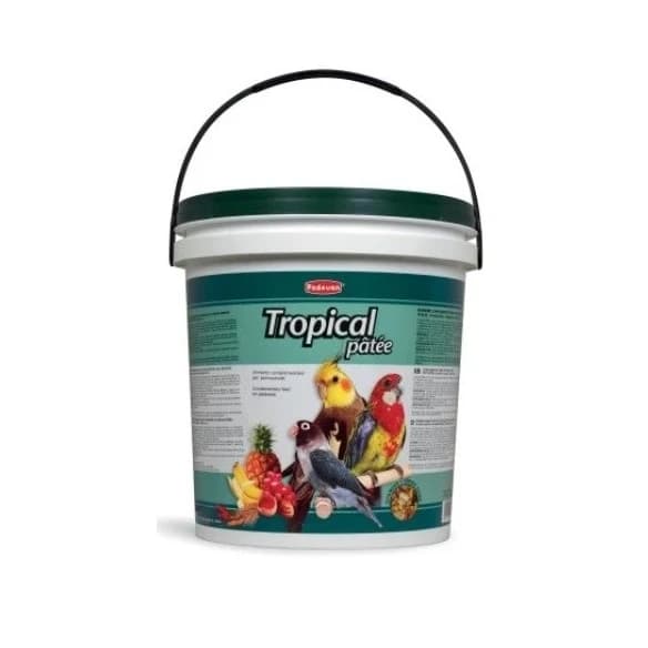 Tropical Pâtée 20kg - Bird Feed