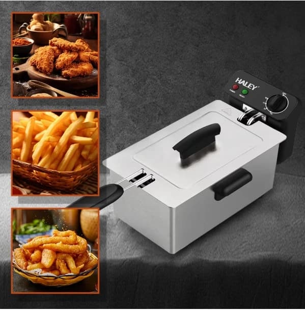 Hailey 4L Electric Oil Fryer Stainless Steel