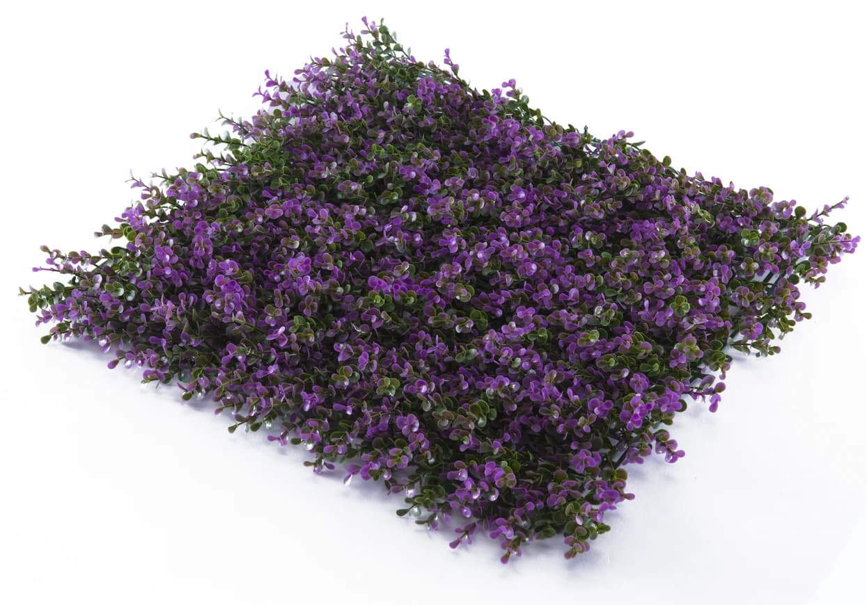 Artificial Green Walls - Thymbra Capitata