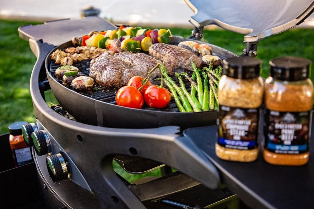 Pit Boss Grill Sportsman 2B
