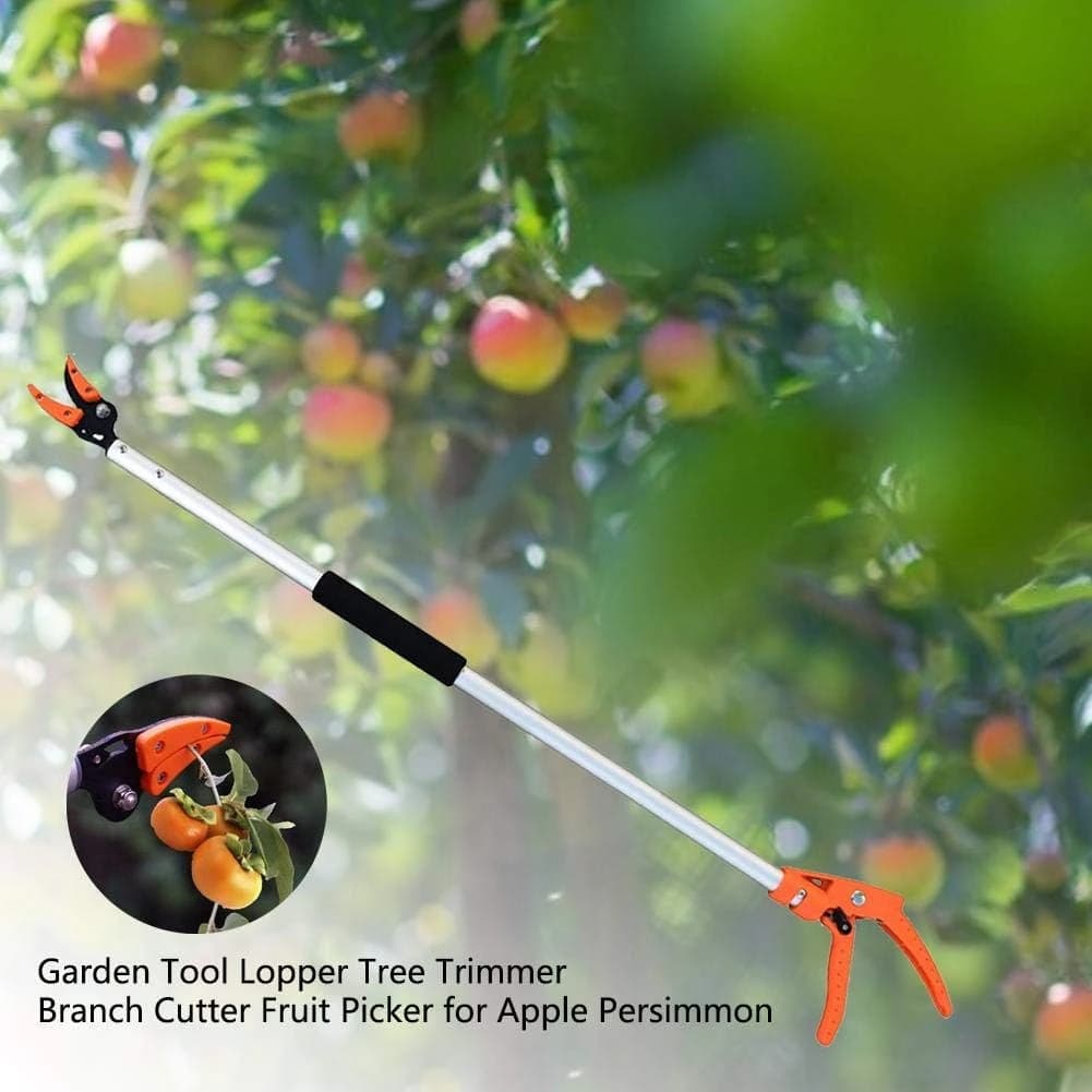 Fruit Picker and Pruning Shears - 130cm
