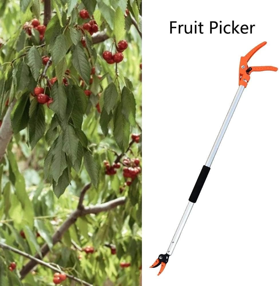 Fruit Picker and Pruning Shears - 130cm