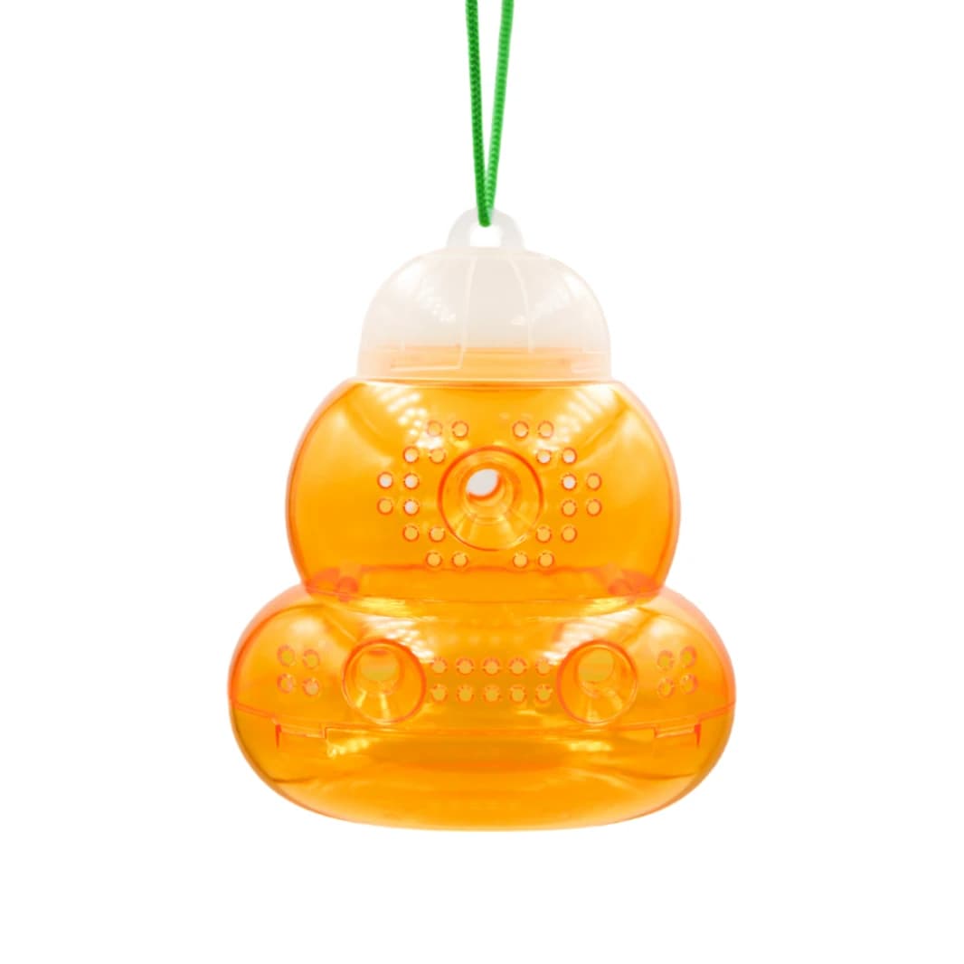 Wasp Traps