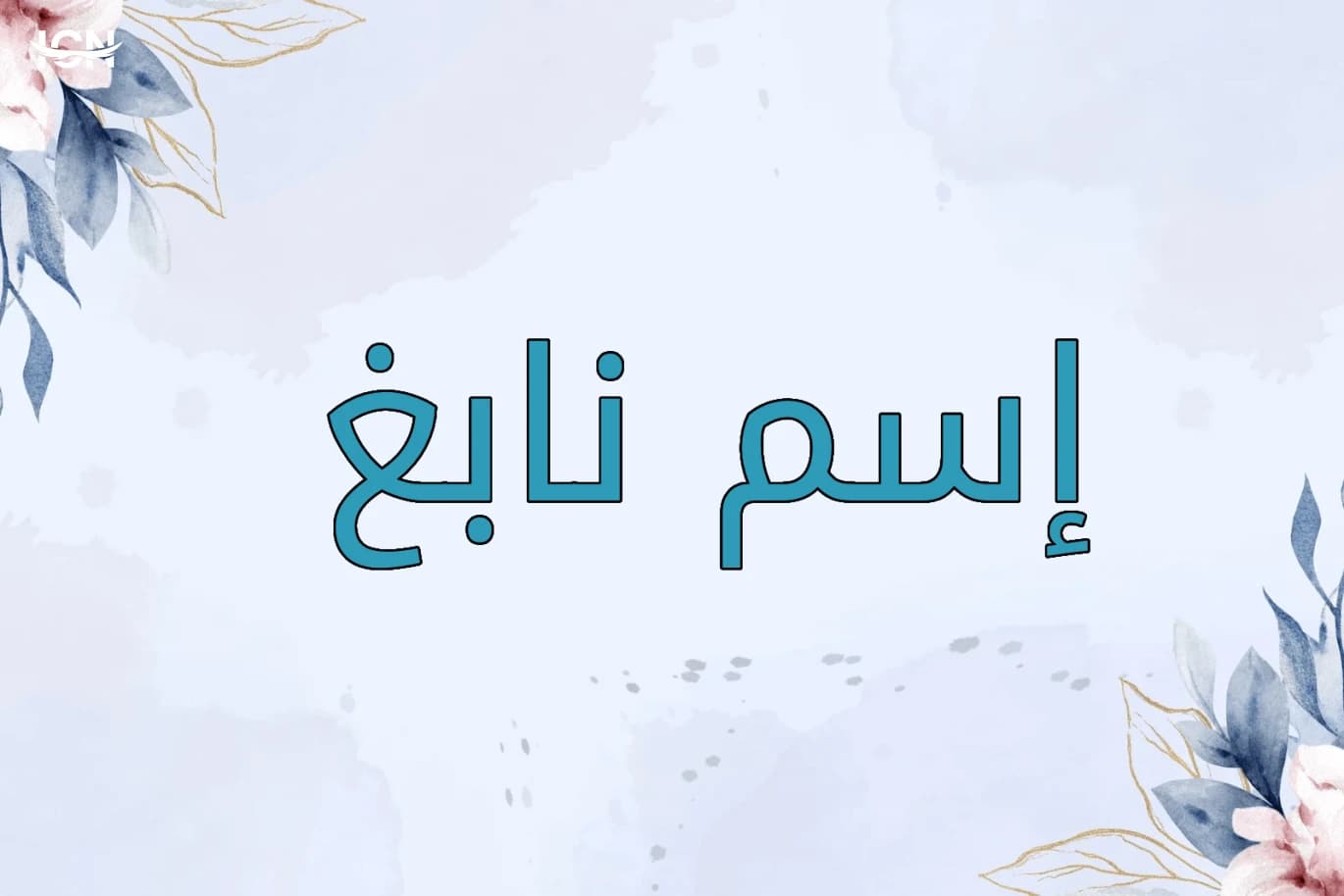 The meaning of the name Nabigh