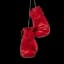 Kickboxing & Boxing