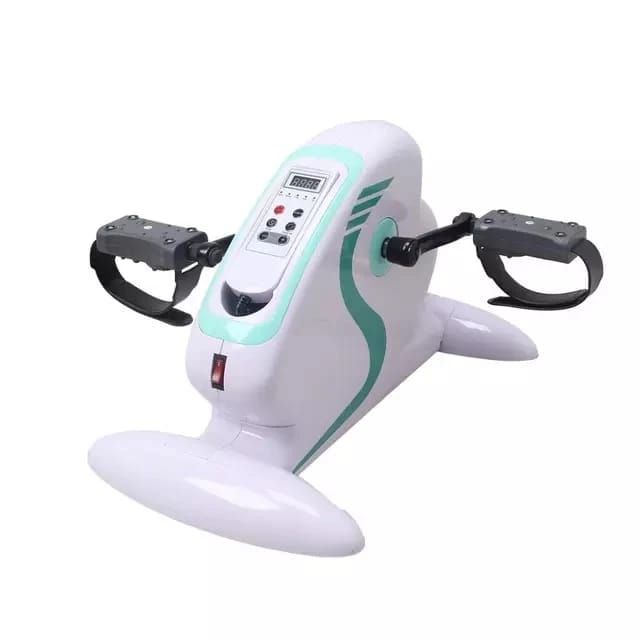 Mini electric bike