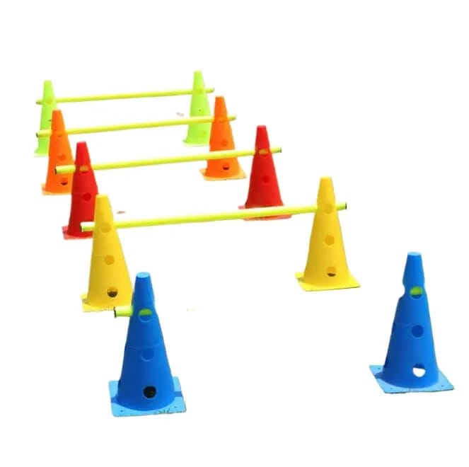 Training Cones with Stick