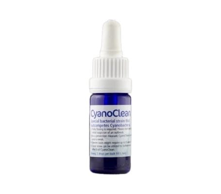 Korallen-Zucht - Cyano Clean - 10 mL