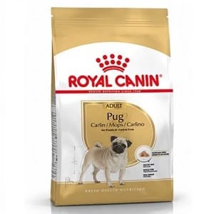Royal Canin pug adult 1.5k