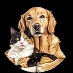 مستلزمات الحيوانات