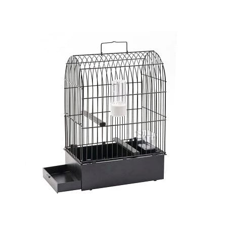 Canary Type Show Cage – Ideal for displaying canaries with distinct physical shapes, commonly used in type competitions.