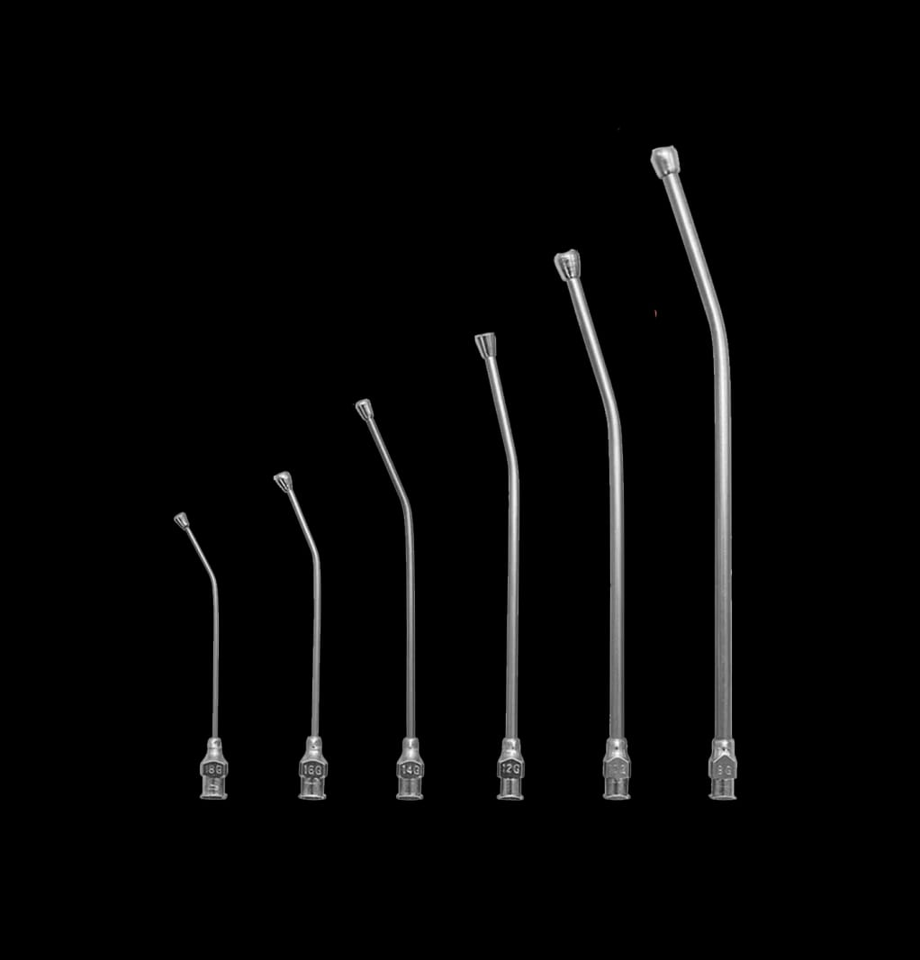 Feeding Needles for Chicks – Stainless or plastic tips for syringe-assisted hand feeding