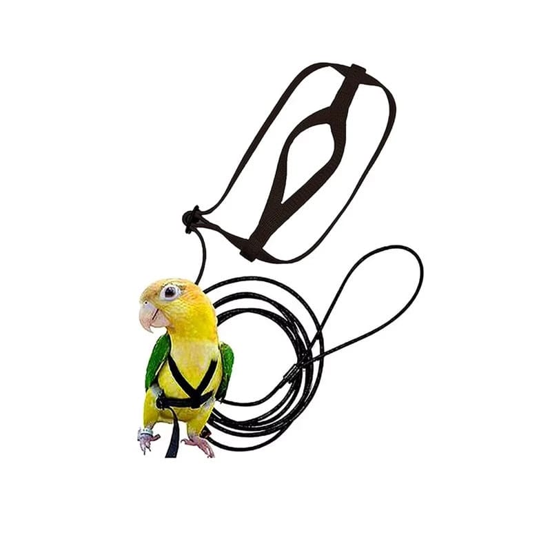 Adjustable Bird Harness with Clip – Safe and comfortable harness for bird outdoor training