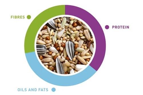Naturalmix Parrocchetti by Kilogram – Bulk nutritional mix for parakeets