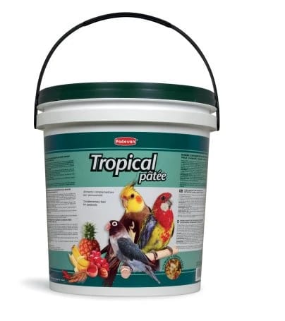 Tropical Pâtée 5kg – Fruit-enriched moist food for tropical birds, 5kg bulk pack