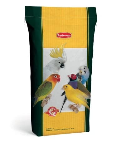 Canary Seed (Scagliola) 20kg – High-quality canary seed in 20kg bag