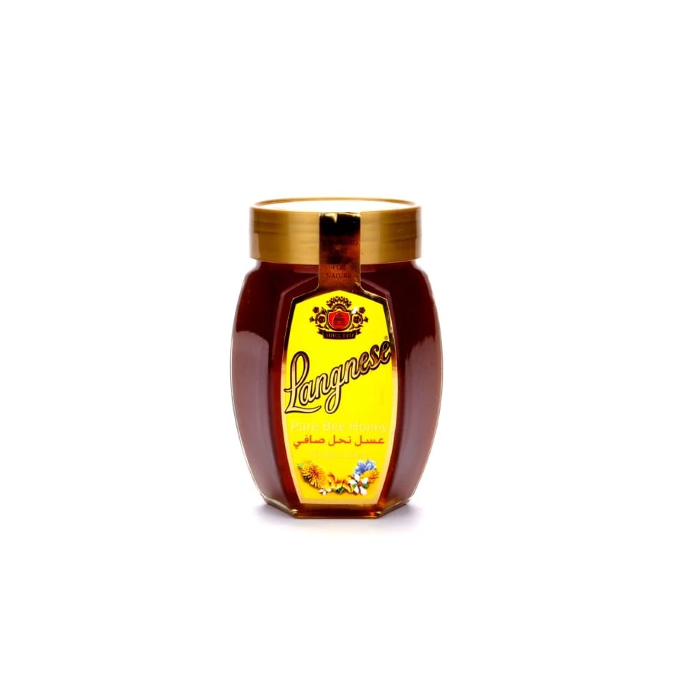 Langnese Pure Bee Honey 500g
