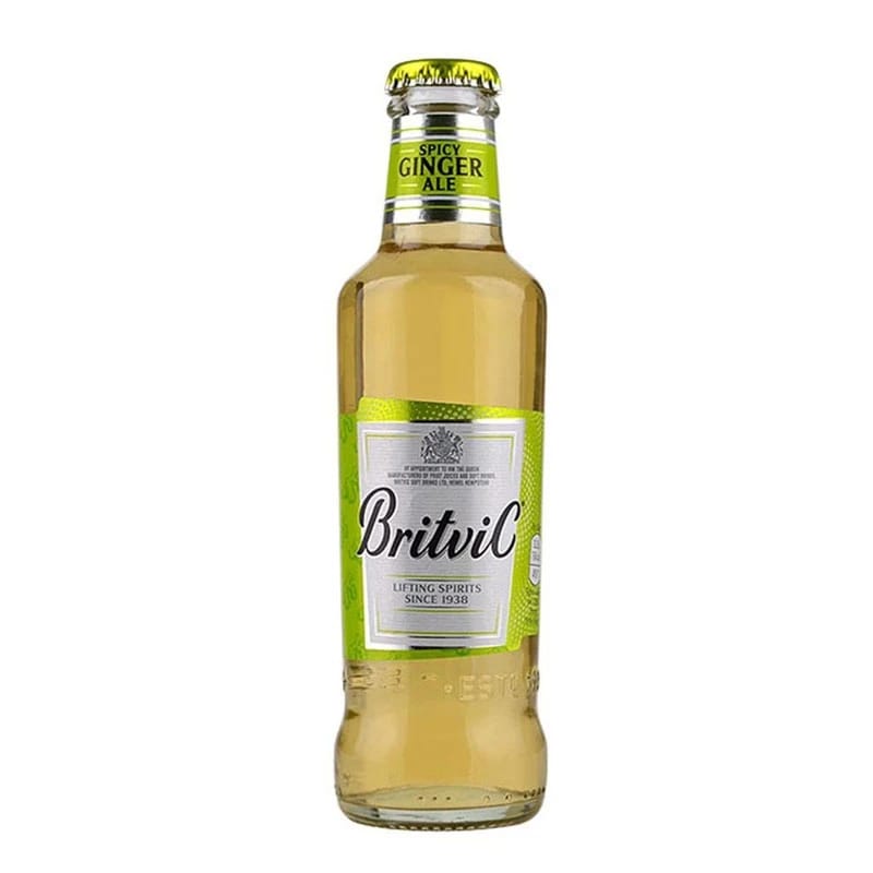 Britvic Spicy Ginger Ale 200ml