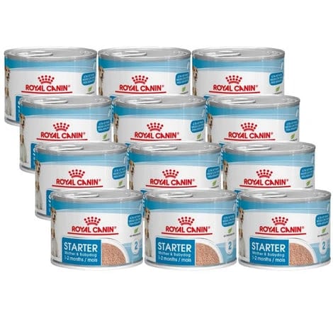 Royal Canon Witts Food for Mother and Babi