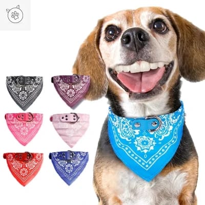 A strong neck collar for adult dogs