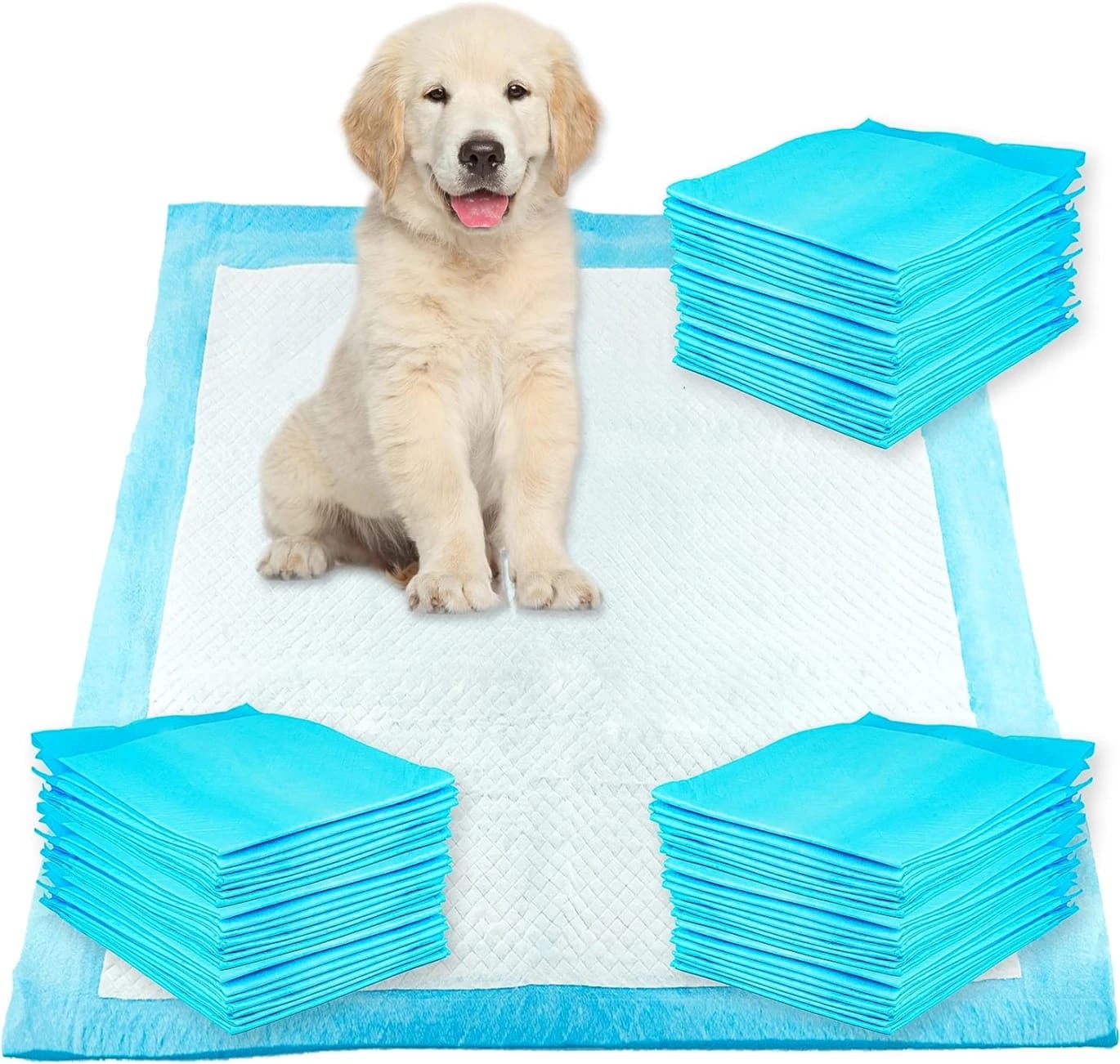 Pad pillows to train the puppies, a 50 -piece package