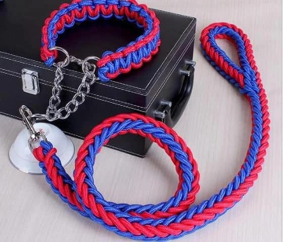 The collar and rope "Why" rope