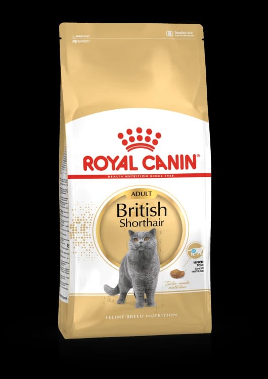 Royal Canin British Shorthair